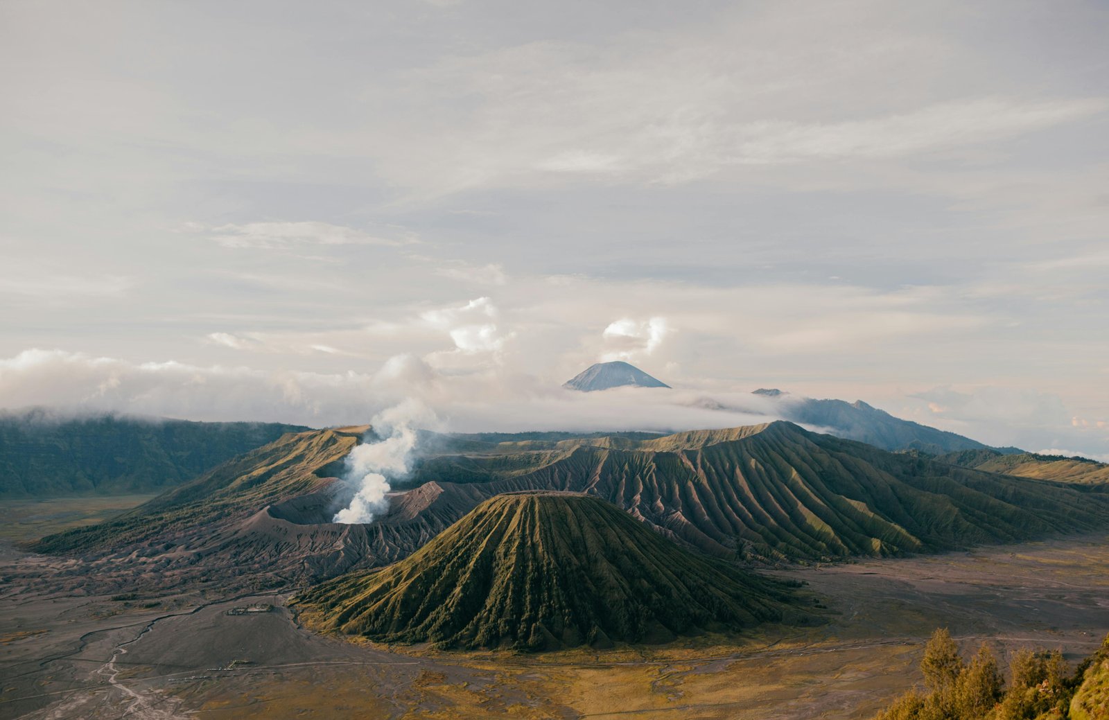 Paket wisata bromo