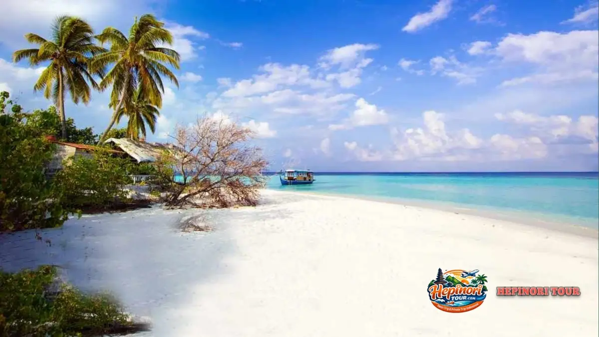 Open Trip Pulau Pari