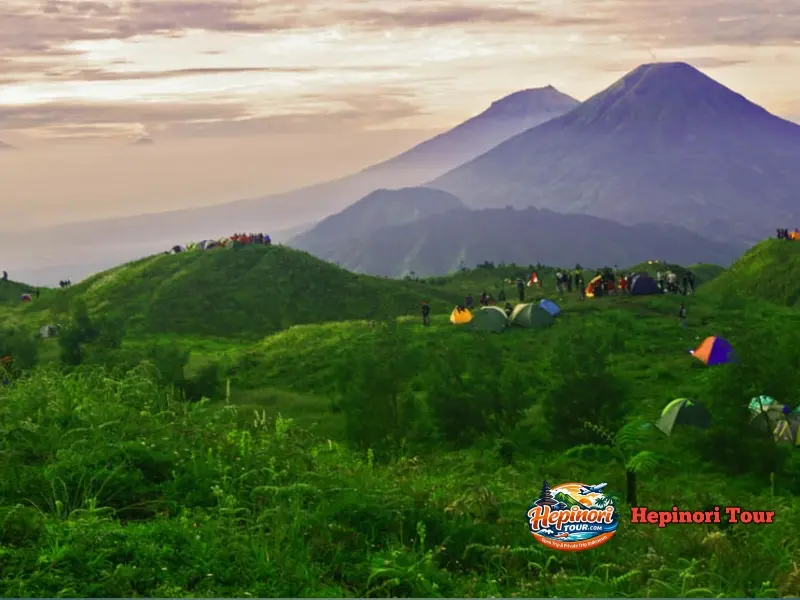 Hamparan Bukit Teletubbies di Gunung Prau dalam Open Trip Gunung Prau 2 Hari 1 Malam dengan padang rumput hijau