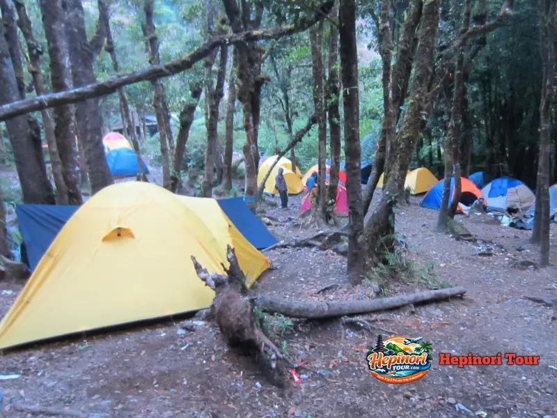 Open Trip Gunung Pangrango Via Cibodas camping di Kandang Badak