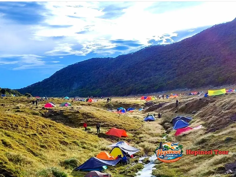 Open Trip Gunung Gede Via Putri camping Surya Kencana malam hari