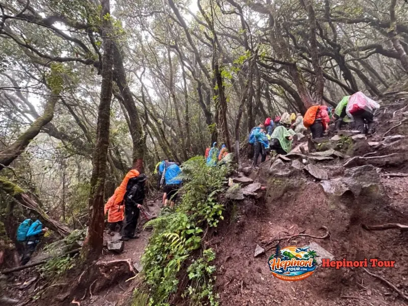 Open Trip Gunung Gede Via Putri pendakian jalur Gunung Putri