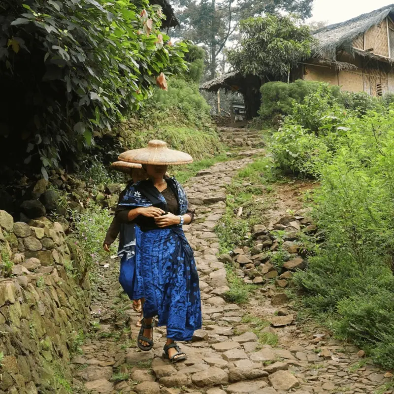 Kehidupan masyarakat baduy yang masih menjaga tradisi dan kearifan lokal di tengah alam yang asri
