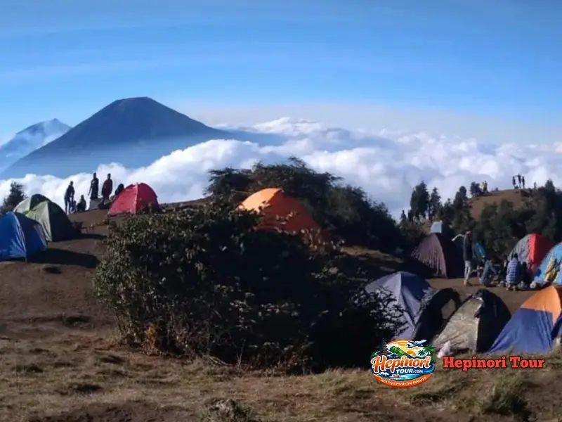 Pemandangan lautan awan dari puncak Gunung Prau dalam Open Trip Gunung Prau 2 Hari 1 Malam saat pagi hari