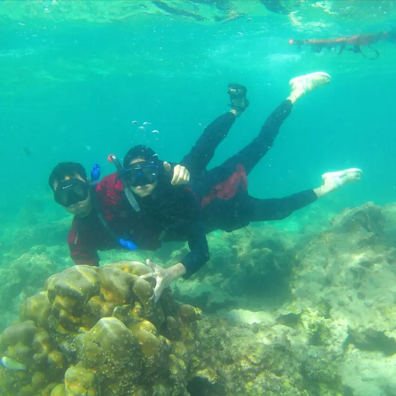 Peserta Open Trip Pulau Pari sedang snorkeling menikmati keindahan terumbu karang dan biota laut.