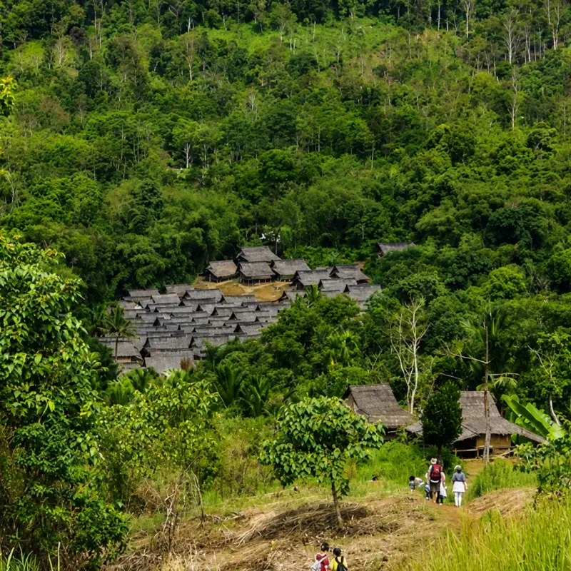 Pemandangan kampung baduy yang dikelilingi hutan dan perbukitan hijau di kabupaten lebak banten