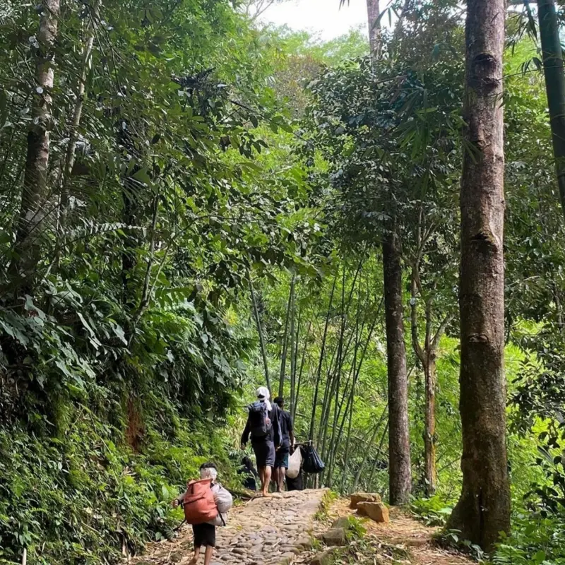 Peserta Open Trip Baduy sedang trekking menuju perkampungan Baduy Dalam melalui jalur alam
