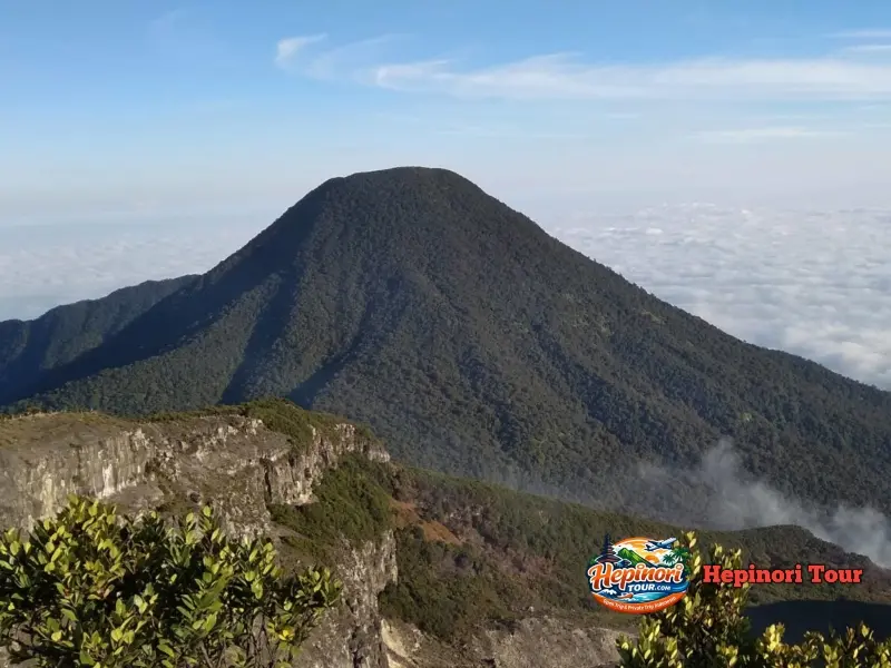 Open Trip Gunung Pangrango Via Cibodas Puncak Gunung Pangrango