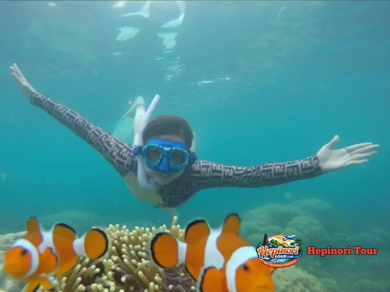 Peserta Open Trip Pulau Sebesi 3 Hari 2 Malam menikmati aktivitas snorkeling di perairan Pulau Sebesi