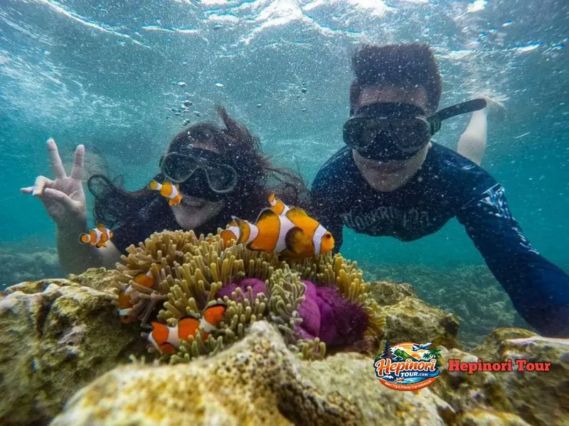 Peserta Open Trip Anak Krakatau Melakukan Aktivitas Snorkelng Di Perairan Selat Sunda