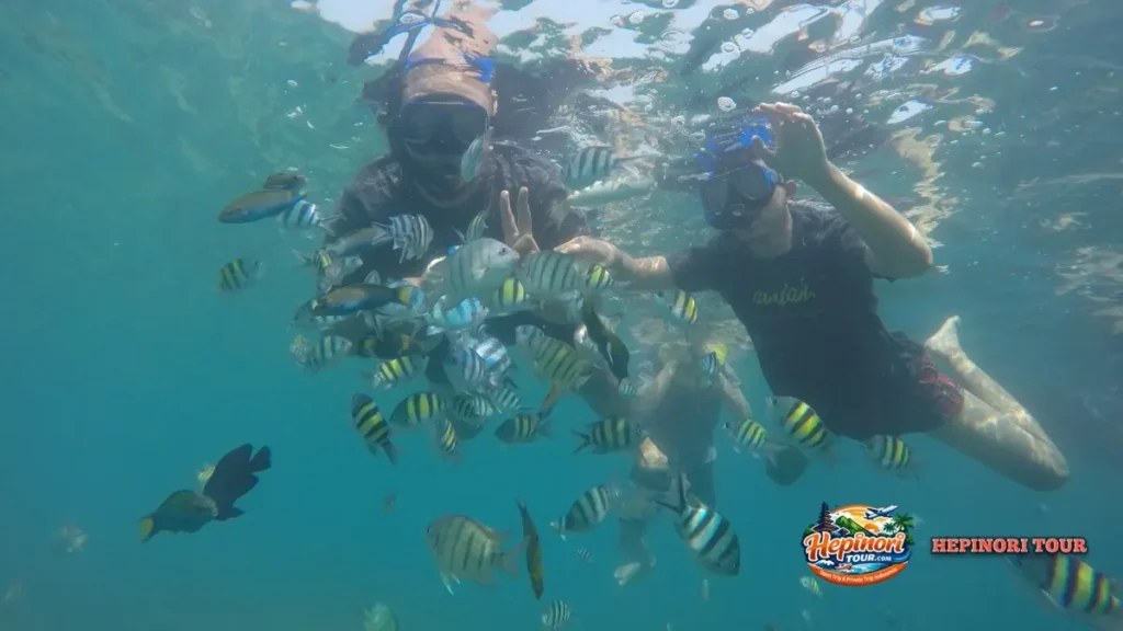 Wisatawan sedang snorkeling di pulau pari
