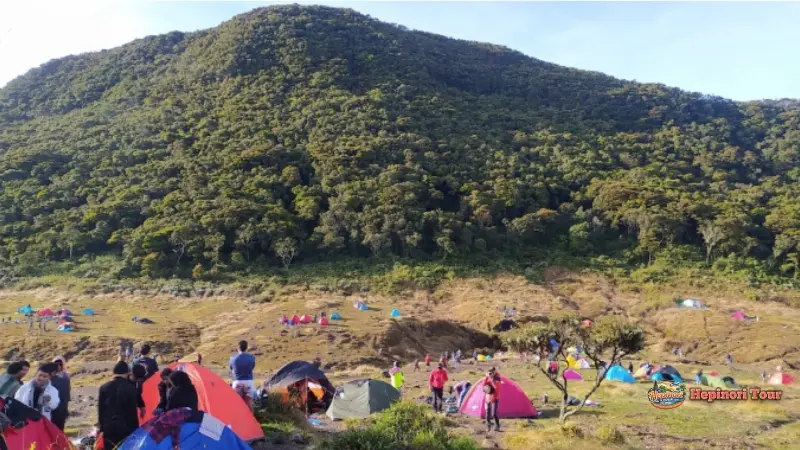Camping di Surya Kencana Saat Open Trip Gunung Gede via Putri