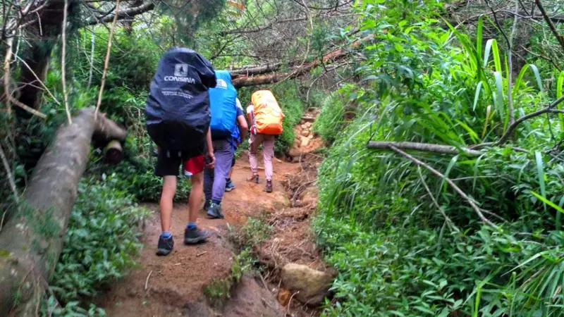 Jalur trekking pendakian gunung