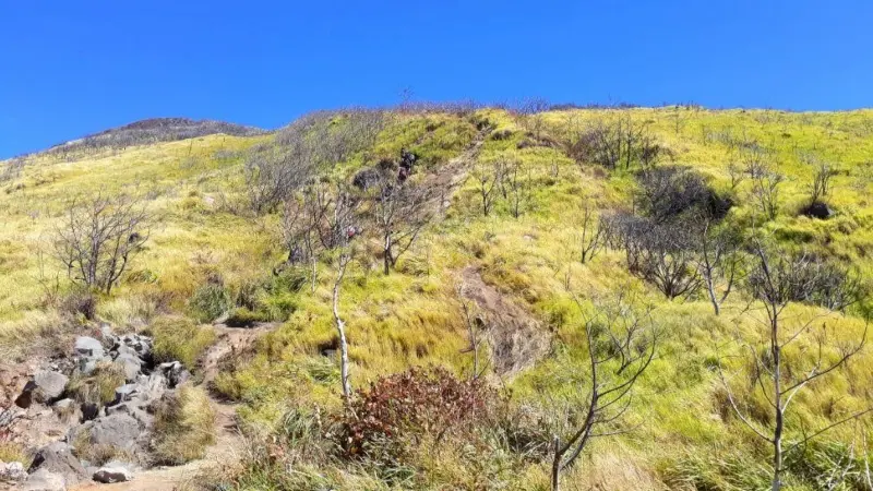 Sabana Gunung Sindoro via Kledung