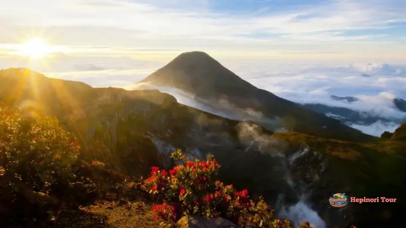 sunrise di Puncak saat Mengikuti Open Trip Gunung Gede via Putri