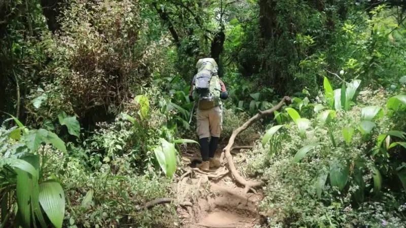 Jalur Trekking Pendakian Gunung Slamet