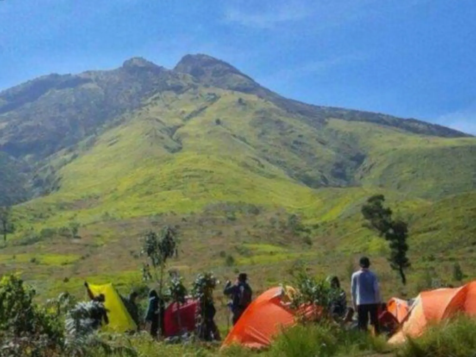 Area camping Gunung Sumbing saat pendakian via Garung