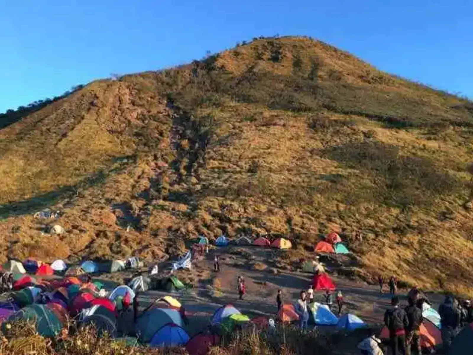 Camping area Gunung Merbabu jalur Selo