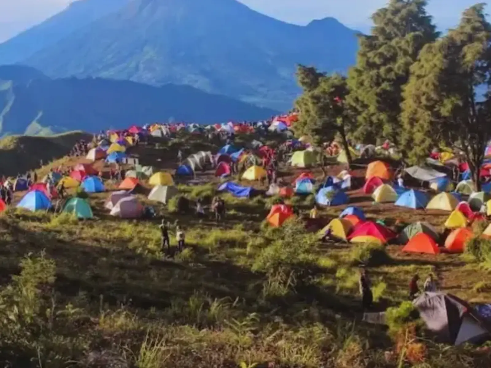 Camping area Gunung Prau
