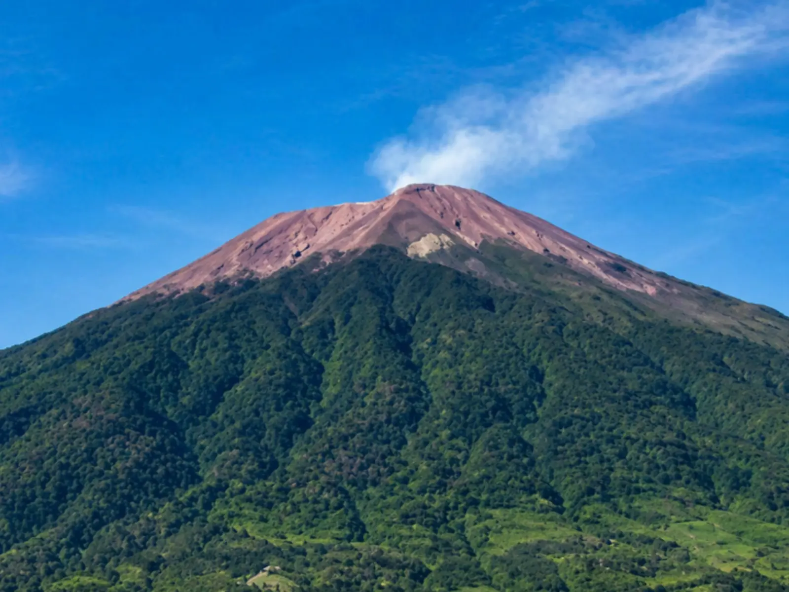 Open Trip Gunung Slamet via Bambangan