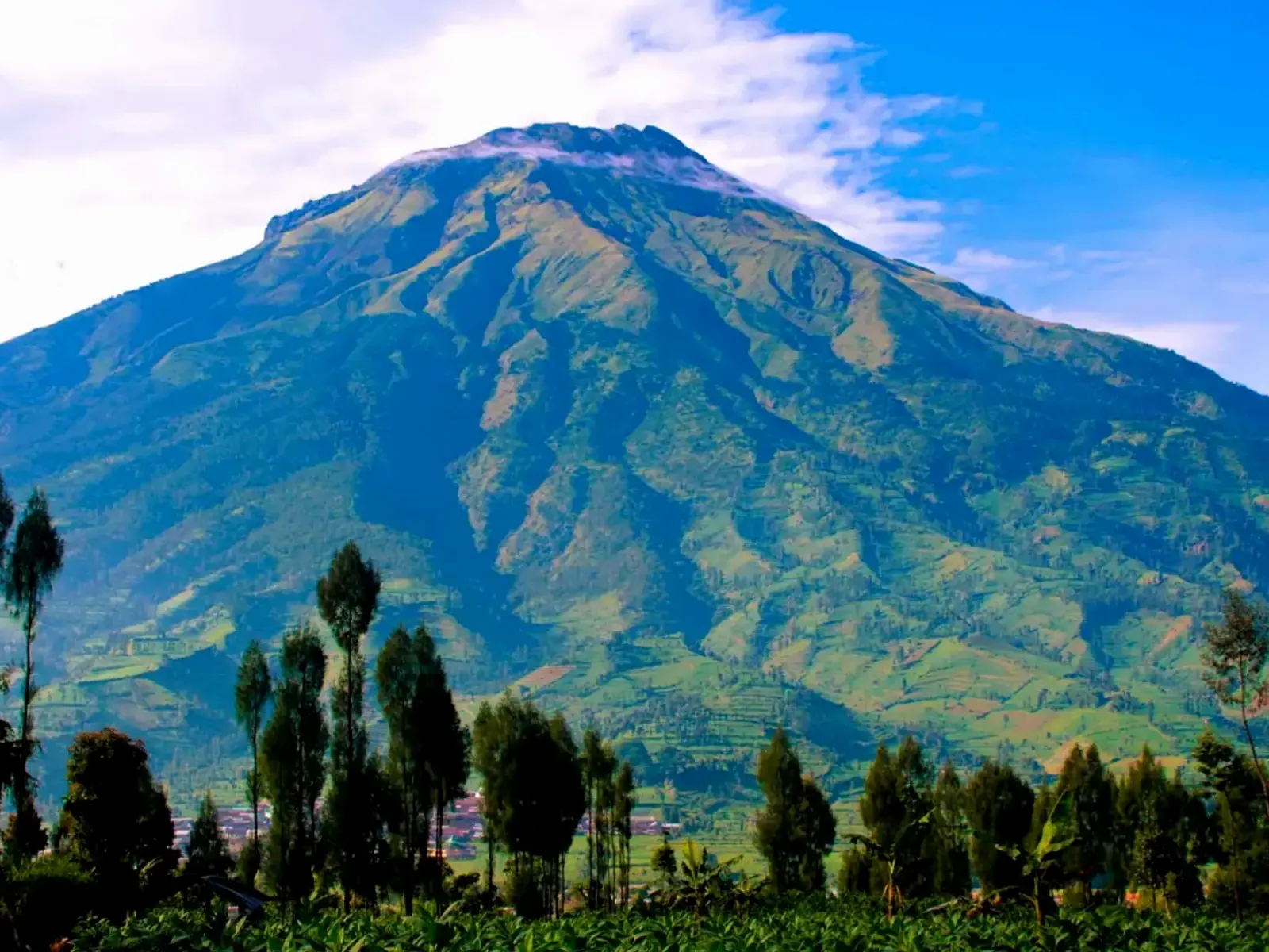 Open Trip Gunung Sumbing