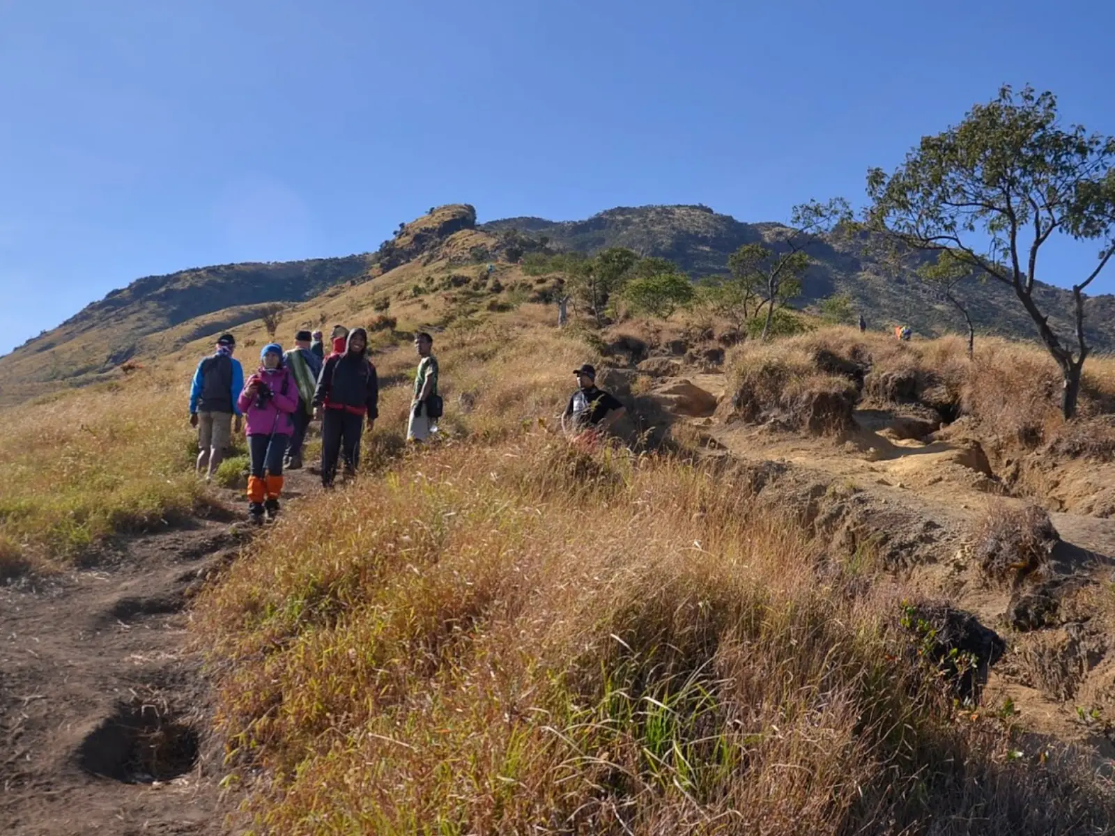 Jalur pendakian Gunung Sumbing via Garung menuju area camping