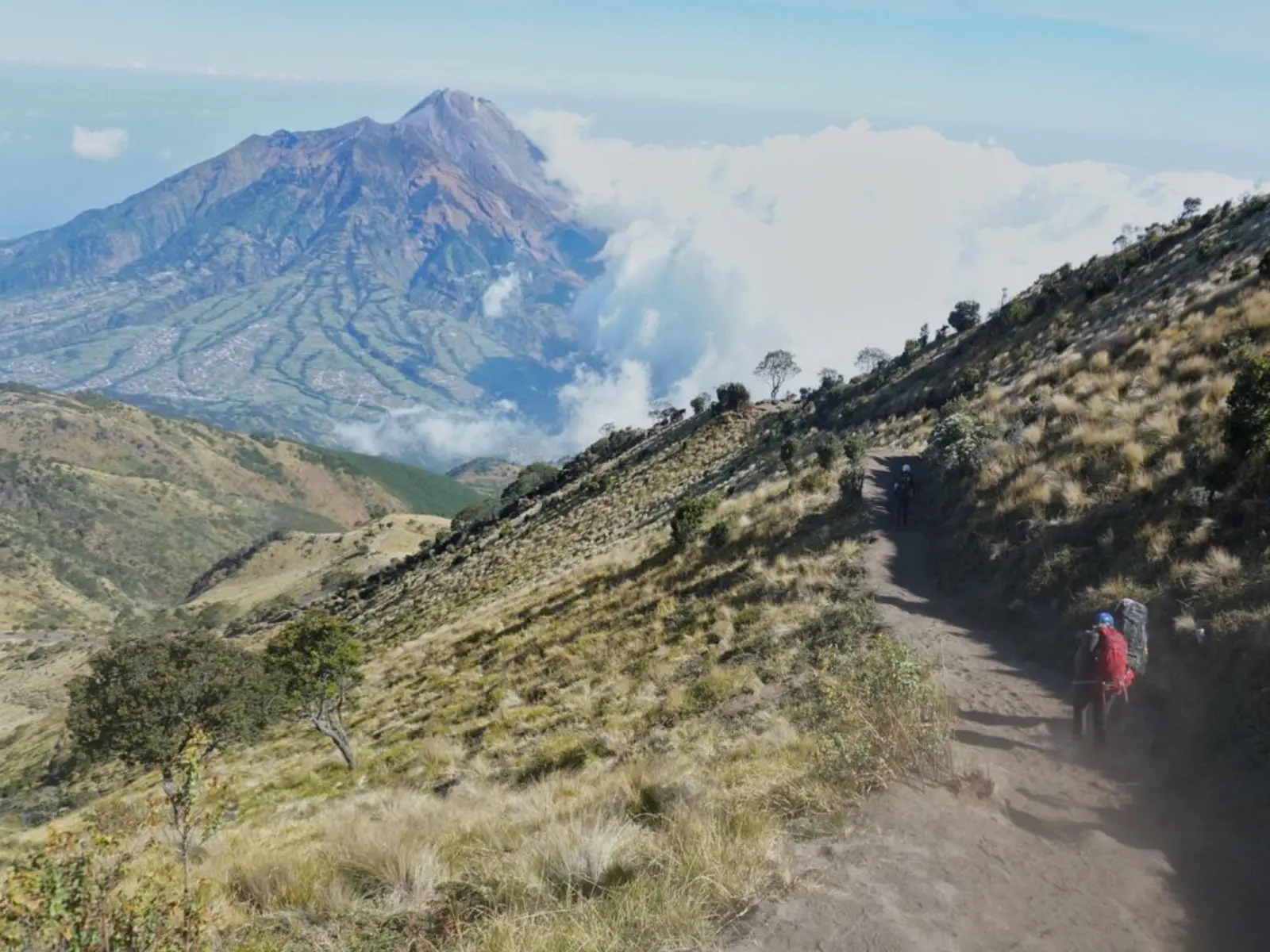 Jalur pendakian Open Trip Gunung Merbabu via Selo menuju kawasan pegunungan