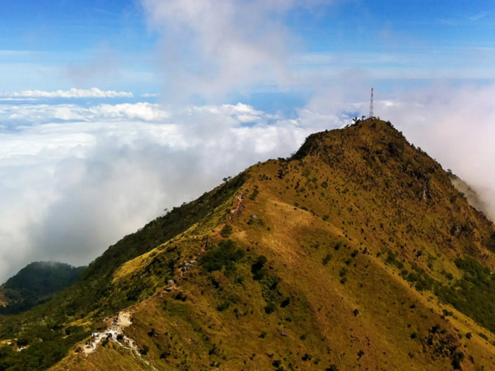 Pemandangan jalur pendakian menuju puncak Gunung Merbabu