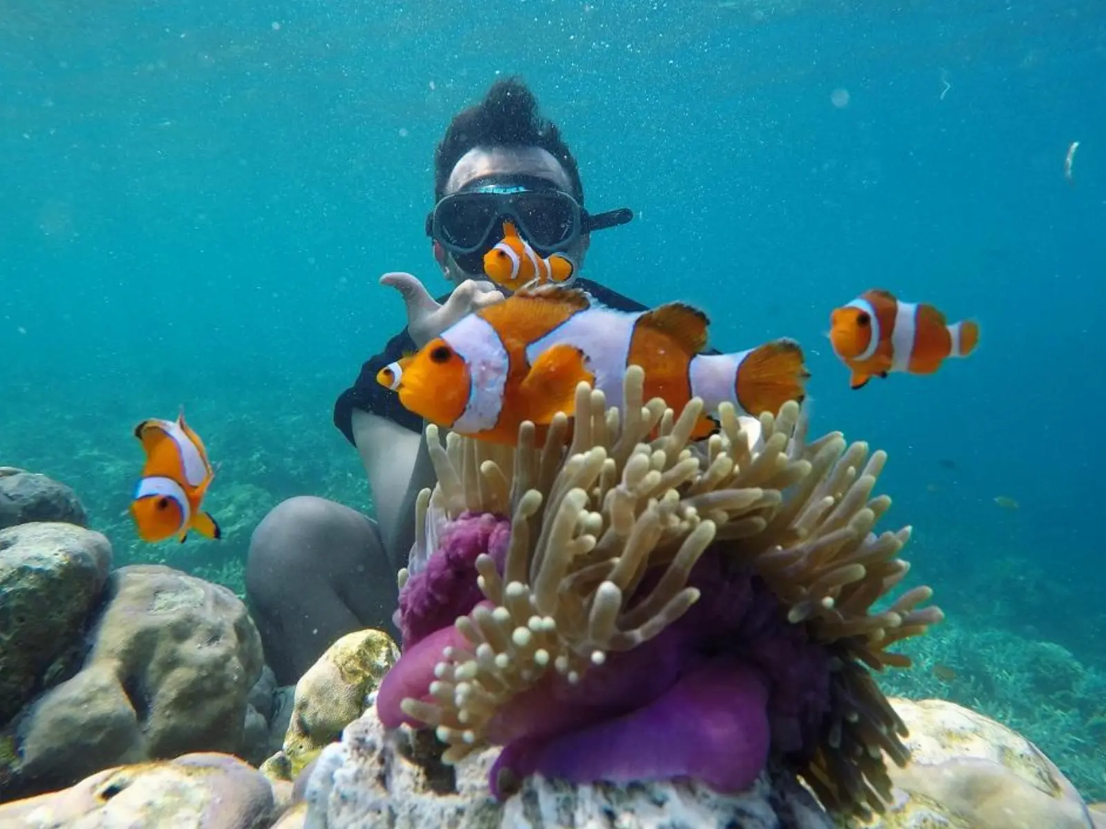 Snorkeling Taman Nemo dalam Open Trip Pulau Pahawang
