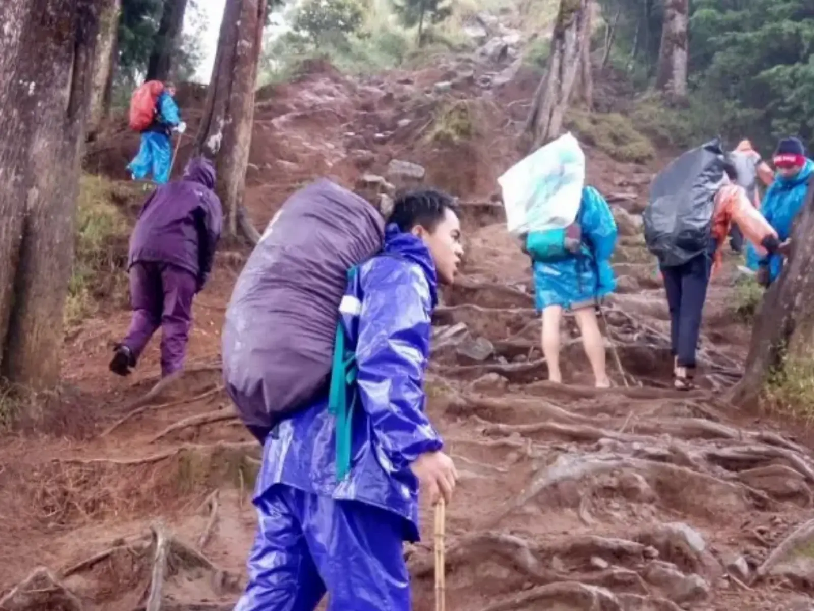 Jalur pendakian Gunung Prau via Patak Banteng dalam Opn Trip Gunung Prau 2 Hari 1 Malam