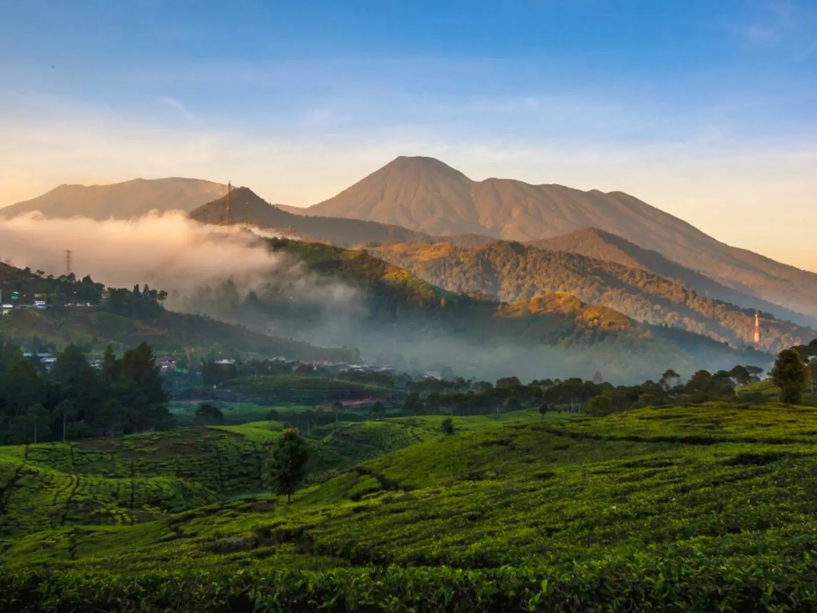 Open Trip Gunung Gede